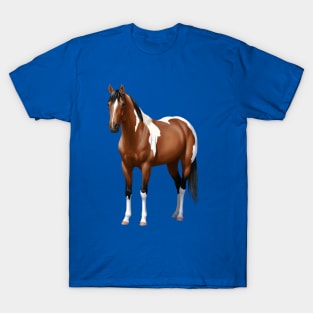 Brown Bay Quarter Horse Pinto Paint Horse Stallion T-Shirt